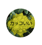 とれたす。（個別スタンプ：4）