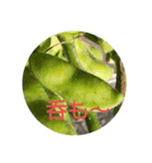 とれたす。（個別スタンプ：7）