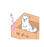 クロは今日もおるすばん！（個別スタンプ：16）