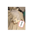 うちのもね（個別スタンプ：5）