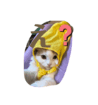 うちのもね（個別スタンプ：6）