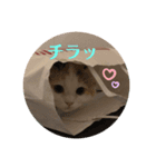 うちのもね（個別スタンプ：7）