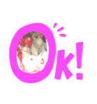 猫店のねこ暮らし（個別スタンプ：8）