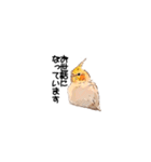 オカメインコのムーンとノン（個別スタンプ：2）