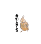 オカメインコのムーンとノン（個別スタンプ：3）