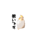 オカメインコのムーンとノン（個別スタンプ：8）