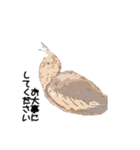 オカメインコのムーンとノン（個別スタンプ：9）