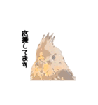 オカメインコのムーンとノン（個別スタンプ：14）