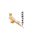 オカメインコのムーンとノン（個別スタンプ：15）