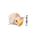 オカメインコのムーンとノン（個別スタンプ：17）