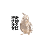 オカメインコのムーンとノン（個別スタンプ：18）