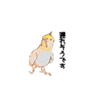 オカメインコのムーンとノン（個別スタンプ：22）