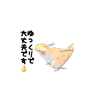 オカメインコのムーンとノン（個別スタンプ：25）