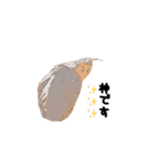オカメインコのムーンとノン（個別スタンプ：28）