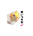オカメインコのムーンとノン（個別スタンプ：29）