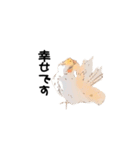オカメインコのムーンとノン（個別スタンプ：32）