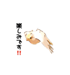 オカメインコのムーンとノン（個別スタンプ：33）