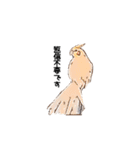 オカメインコのムーンとノン（個別スタンプ：40）