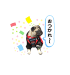 茶豆さん（個別スタンプ：6）
