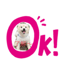 ムクムクのムクスタンプ（個別スタンプ：1）