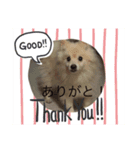 ムクムクのムクスタンプ（個別スタンプ：7）