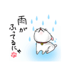 可愛いしろねこの日常（個別スタンプ：2）