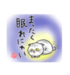 可愛いしろねこの日常（個別スタンプ：3）