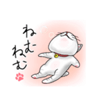 可愛いしろねこの日常（個別スタンプ：4）