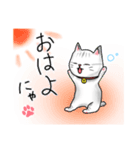 可愛いしろねこの日常（個別スタンプ：5）