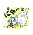 可愛いしろねこの日常（個別スタンプ：8）