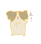 パピヨンリロと猫のこてつ（個別スタンプ：20）