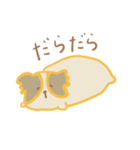 パピヨンリロと猫のこてつ（個別スタンプ：25）