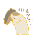 パピヨンリロと猫のこてつ（個別スタンプ：34）