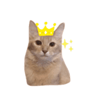 The King of Our Home（個別スタンプ：1）
