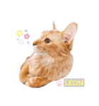 The King of Our Home（個別スタンプ：8）