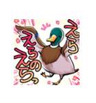 適当で陽気なカモ（個別スタンプ：5）