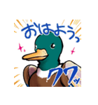 適当で陽気なカモ（個別スタンプ：6）