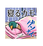 適当で陽気なカモ（個別スタンプ：8）