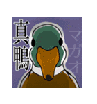 適当で陽気なカモ（個別スタンプ：15）