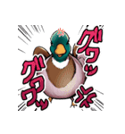 適当で陽気なカモ（個別スタンプ：19）