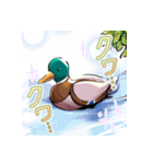 適当で陽気なカモ（個別スタンプ：22）