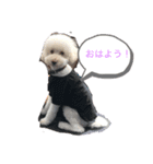 のすけの日常1（個別スタンプ：3）