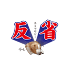 ビーグルと一緒！（個別スタンプ：8）