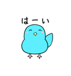 あおヒヨ（個別スタンプ：1）