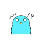 あおヒヨ（個別スタンプ：11）