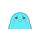 あおヒヨ（個別スタンプ：15）