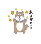 わんこの毎日スタンプ（個別スタンプ：1）