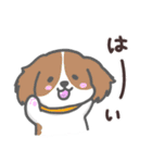 わんこの毎日スタンプ（個別スタンプ：2）