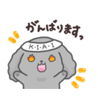 わんこの毎日スタンプ（個別スタンプ：5）