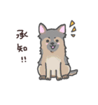 わんこの毎日スタンプ（個別スタンプ：6）
